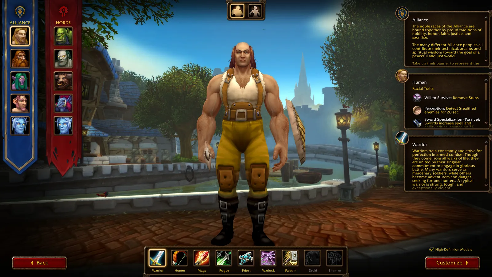 A Human Warrior on the WoW Forever character creation screen