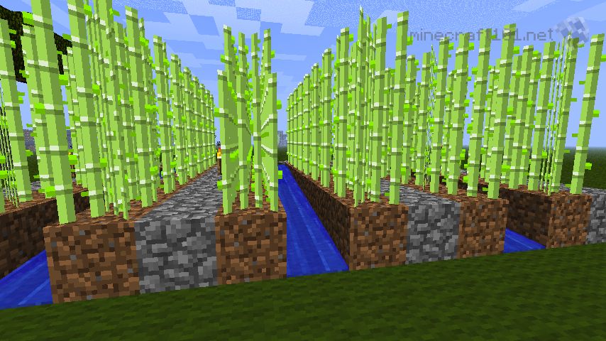 Which Minecraft Automatic Farms Should You Build?